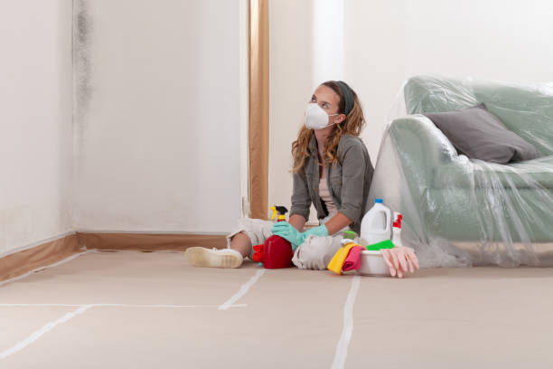 Reliable Mold Remediation contractor in Rockville, MN by WQB Mold Removal
